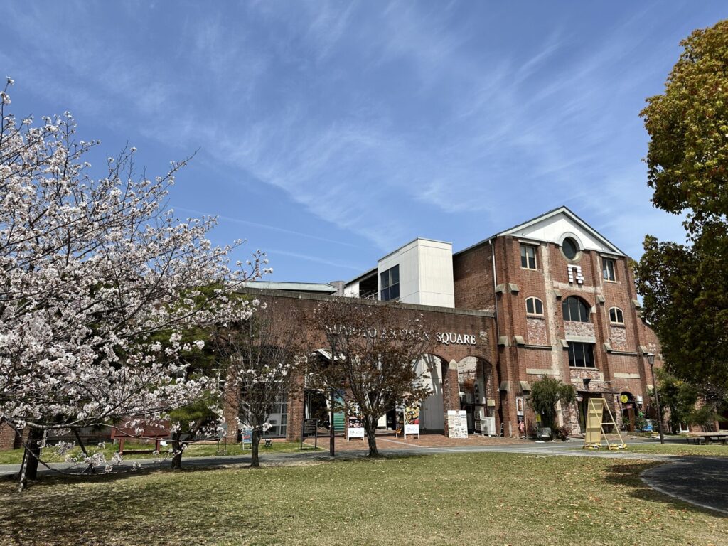 洲本アルチザンスクエアと桜